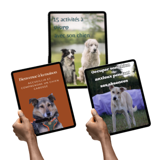 Les e-books