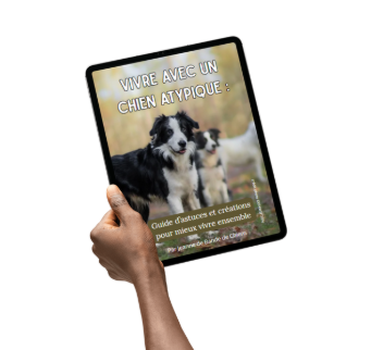 Vivre avec un chien atypique - ebook