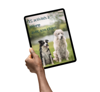 15 activités à vivre avec son chien - ebook