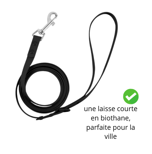 Le Pack promenade responsable