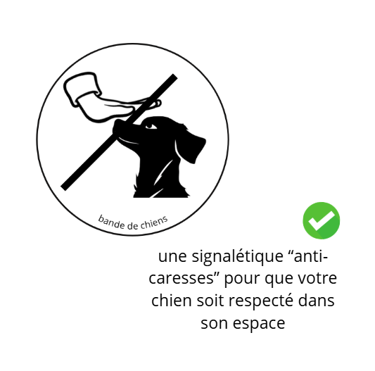 Le Pack promenade responsable